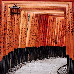 Fushimi Inari Shrine - Japan Wall Art, Fine Art Prints, Japan Print, Torii Gate Print, Japanese Architecture, Japan Shrine Print