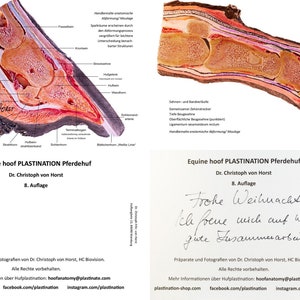 Sabot équin Livret PLASTINATION. 8e ÉDITION Robuste Images scientifiques d'anatomie et de pathologie du pied de cheval. Des informations authentiques sur les sabots image 7