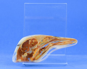 Duck head plastination - real life anatomy plastination wet specimen