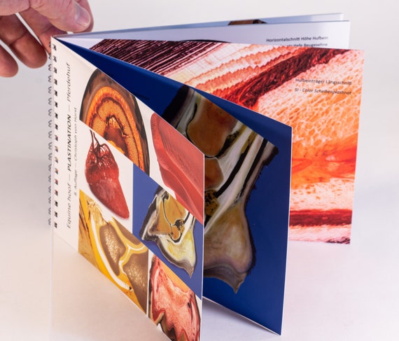 Equine hoof - PLASTINATION booklet. 8th EDITION - heavy-duty! Horse foot anatomy and pathology images.