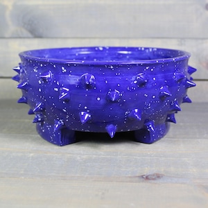 May include: A blue ceramic planter with white speckles and a spiky, textured exterior. The planter has three short legs and is perfect for displaying small plants.