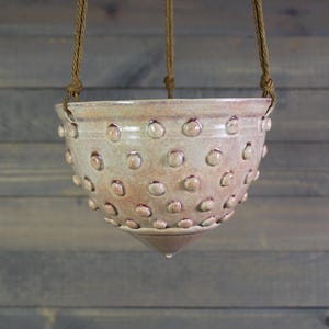 May include: A hanging ceramic planter with a speckled, textured surface and a series of raised, circular bumps. The planter is suspended by brown rope. The color palette includes shades of beige, brown, and a hint of red.