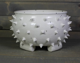 Bonsai Planter - Black White Grouchy Planter Pot with Spikes - Ceramic Succulent Pot