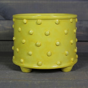 May include: A bright yellow ceramic planter with a cylindrical shape and three small feet. The planter is adorned with evenly spaced, raised circular bumps across its surface. The glossy finish and cheerful color make it a decorative item.