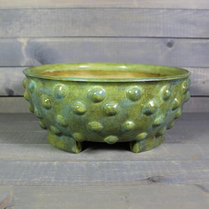 Rusty Brown Ceramic Bonsai Pot: Grouchy Planter with Bumps