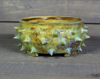 Small Succulent Planter - Ceramic Planter Pot with Spikes -  Mini Cactus Planter