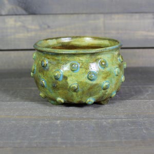 Small Succulent Planter - Ceramic Planter Pot with Bumpy Texture -  Mini Cactus Planter