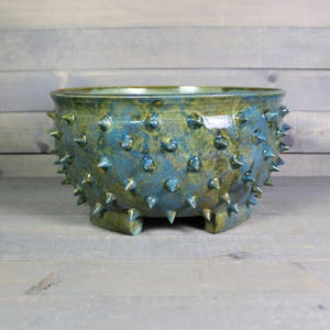 Ceramic Bonsai Planter - Grouchy Planter Pot with Spikes - Large Ceramic Succulent Pot