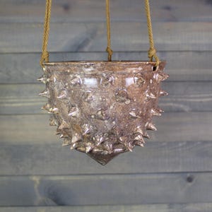 May include: A brown ceramic hanging planter with a textured surface and spiky protrusions. The planter is suspended by tan rope. The pot has a glossy finish and a unique, handcrafted appearance, perfect for displaying plants.