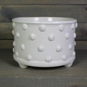 May include: White ceramic planter with a dotted pattern and three small feet.