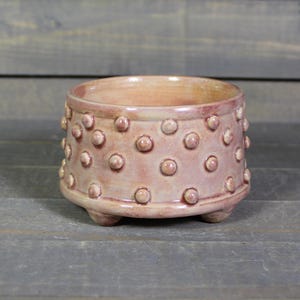 Small Succulent Planter - Ceramic Planter Pot with Bumpy Texture -  Mini Cactus Planter