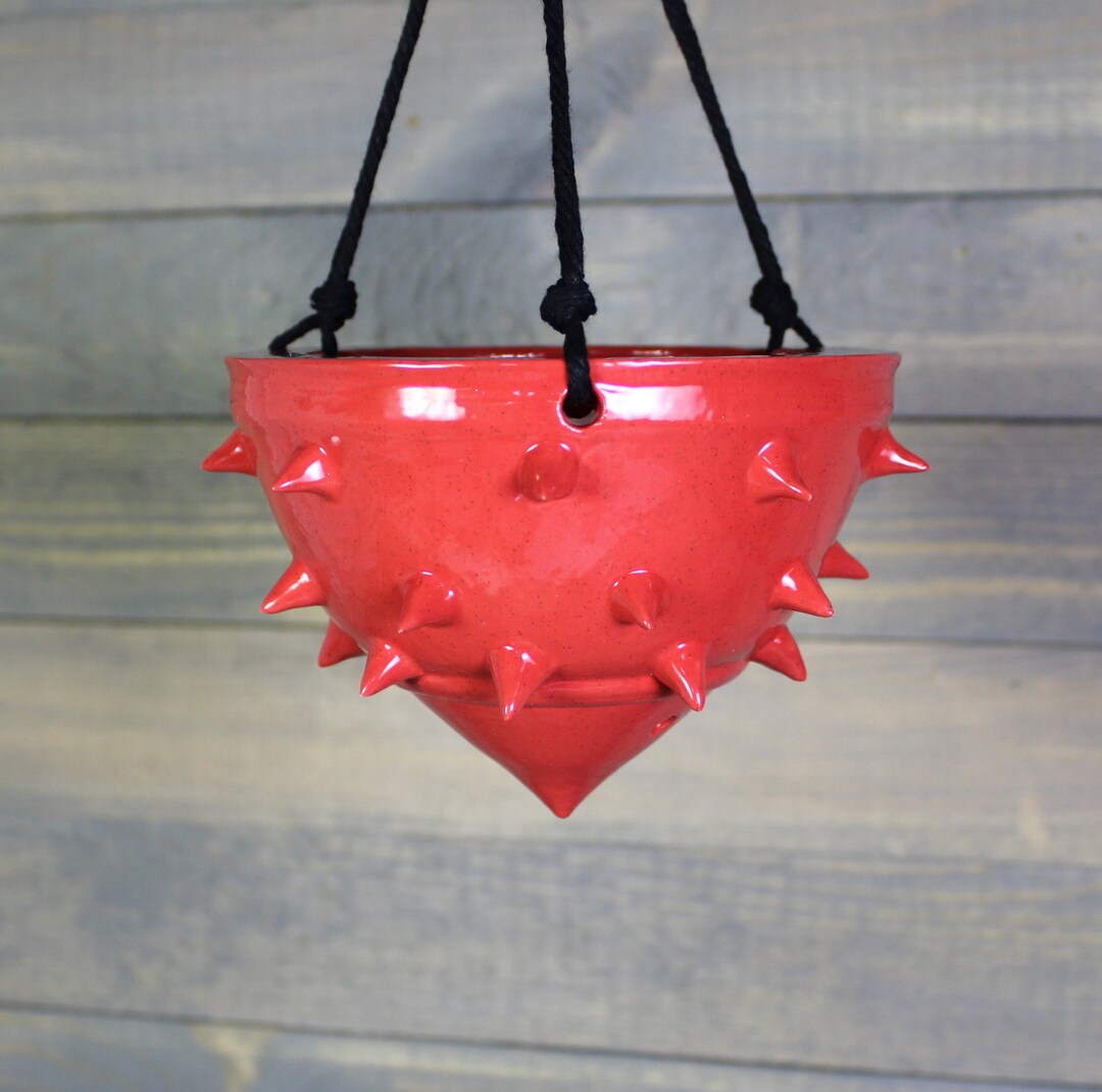 Hanging Planter Red Spiked Hanging Succulent Pot Indoor Hanging Planter