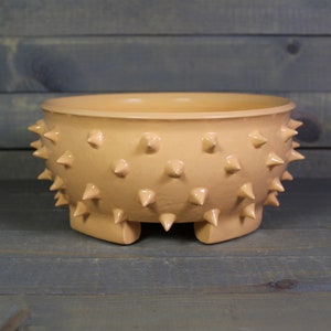 May include: A peach-colored ceramic planter with a spiky, textured exterior and three short legs. The planter is designed to resemble a spiky ball.