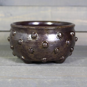 Small Succulent Planter - Ceramic Planter Pot with Bumpy Texture -  Mini Cactus Planter