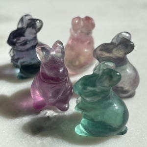 One (1) Mini Fluorite Crystal Carving | Rabbit | Intuitively Chosen