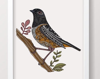 Josie the Spotted Towhee - bird print, birding, bird watching, nature, home decor, art decor