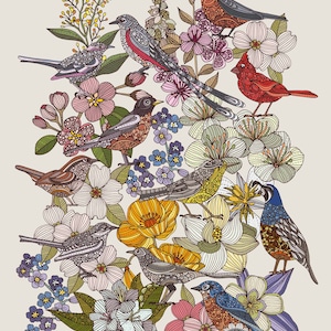 Birds, state birds, state flowers, colorful birds, doodle art, art decor, wall art. birds lovers