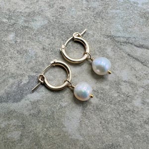 Gold and Pearls - Freshwater Pearls and 14k Gold Filled Earrings