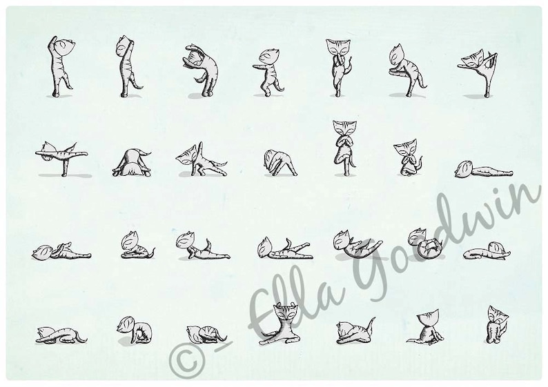 Cat art print yoga cats instruction diagram exercise A4 8 x 10 A5 bikram yoga set image 2