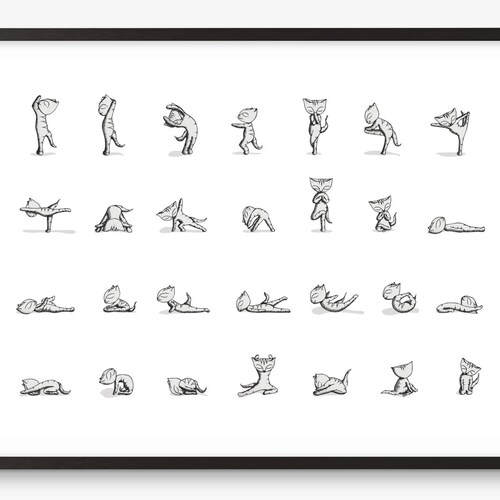 Cat Art Print Yoga Instruction Diagram Exercise A3 Large - Etsy