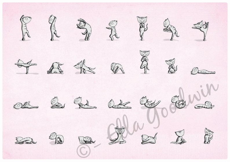 Cat art print yoga cats instruction diagram exercise A4 8 x 10 A5 bikram yoga set image 4