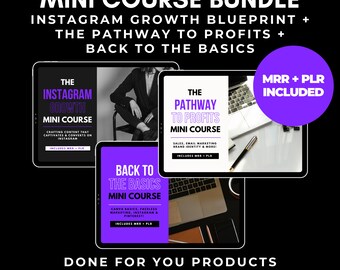 Instagram Growth Blueprint, Pathway To Profits, Back To Basics - Mini Course Bundle PLR MRR Master Resell Rights, Digital Marketing, DFY