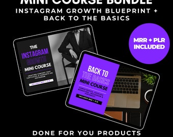 Instagram Growth Blueprint + Back To the Basics - Mini Course Bundle PLR MRR Master Resell Rights For Business Owners Digital Marketing, DFY