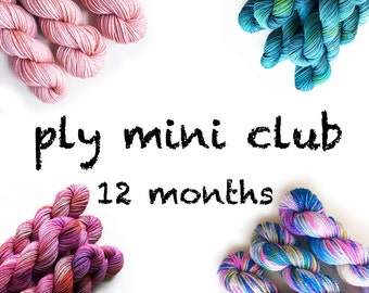 Hand Dyed Yarn Mini Skein Club 12 months. Customizable monthly yarn club subscription. Gift for Knitters, Gift for Crafters. PLY Yarn Club!