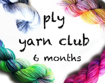 Hand Dyed Yarn Club 6 month membership. Customizable monthly yarn club subscription. Gift for Knitters, Gift for Crafters. PLY Yarn Club!