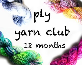 Hand Dyed Yarn Club 12 month membership. Customizable monthly yarn club subscription. Gift for Knitters, Gift for Crafters. PLY Yarn Club!