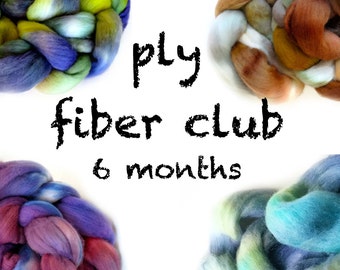 Hand Dyed Wool Roving Fiber Club 6 months. Customizable monthly subscription for Spinning or Felting. Gift for Spinners, Gift for Crafters.