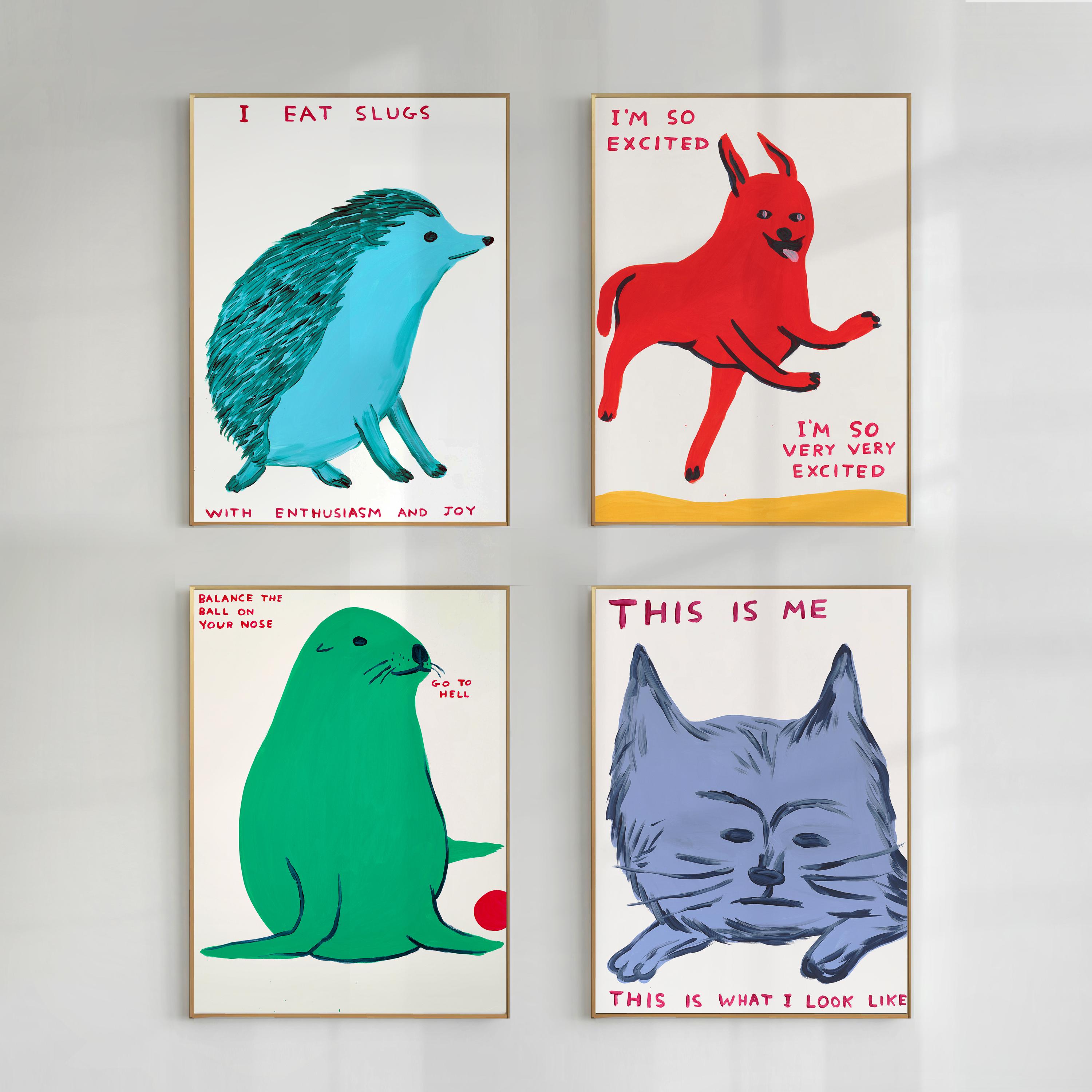 限定品☆新品☆輸入ポスター☆デイヴィッドシュリグリー☆お洒落