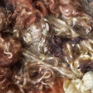 TWO OUNCES Mixed colors real mohair rooting berenguer reborn blythe doll troll hair