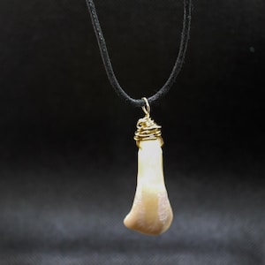 Native American Made Buffalo Tooth Necklace - Etsy