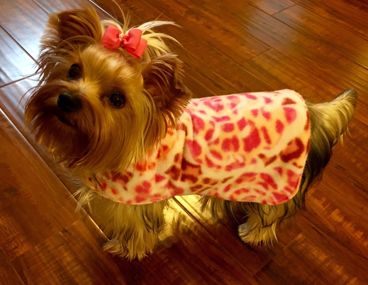 Custom Yorkie Fleece Coat / Jacket 310 pounds Etsy