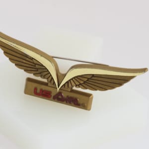 US Air Junior Pilot Kunststoff Flügel Anstecker // Vintage Schmuck // luluglitterbug