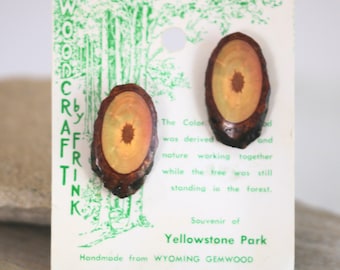 Wood by Frank Handmade Gemwood Clip On Earrings Yellowstone Souvenir  // Vintage Jewelry // luluglitterbug