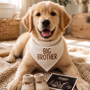 Op de afbeelding: Een golden retriever puppy draagt een crèmekleurige, textuurrijke stoffen bandana met de woorden BIG BROTHER in bruin geborduurd. Naast de puppy liggen twee kleine, beige gebreide babyslofjes en een zwart-wit echoscopie-afbeelding.