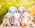 Personalized Easter Plush Bunny,Easter Bunny,Custom Easter Floral Bunny Toy,Stuffed Animal,Baby Gift,Newborn Baby Shower Gift