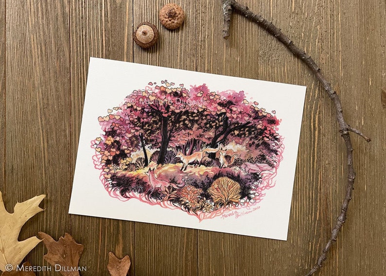 May include: Watercolor painting of a forest scene with pink and orange leaves. There are four foxes in the scene, with one in the foreground and three in the background. The painting is signed "Meredith Dillman 2023".