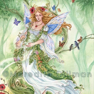 May include: A watercolor painting of a fairy with blue wings and a white dress, surrounded by green foliage and flowers. The fairy is holding a small, glowing orb in her hands. The painting is signed "Meredith Dillman".