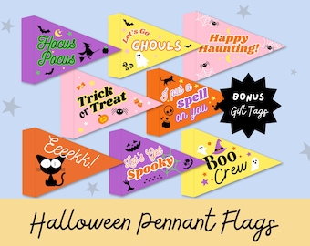 May include: Set of ten Halloween pennant flags with various designs and colors. The flags feature phrases like "Hocus Pocus", "Trick or Treat", "Let's Go Ghouls", "Happy Haunting!" and "Boo Crew".