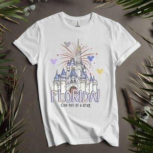 Op de afbeelding: Wit T-shirt met een kleurrijke illustratie van een kasteel, vuurwerk en ballonnen. Het woord "FLORIDA!" is in paars en blauw geschreven, met de zin "One hell of a drug" eronder. Een leuke grafische tee.
