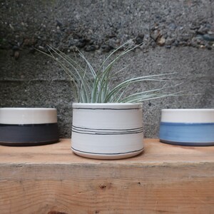 MADE to ORDER Mini Planter for air plants or succulents image 3