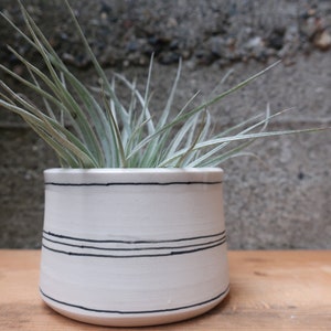 MADE to ORDER Mini Planter for air plants or succulents stripes