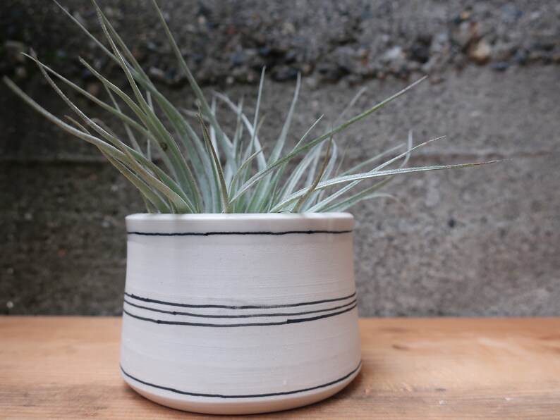 MADE to ORDER Mini Planter for air plants or succulents stripes