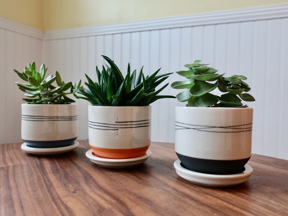 MADE to ORDER ~ Small Planter