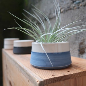 MADE to ORDER Mini Planter for air plants or succulents image 1