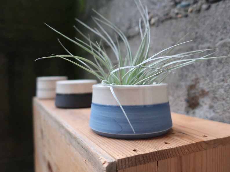 MADE to ORDER Mini Planter for air plants or succulents image 1