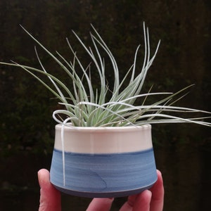 MADE to ORDER Mini Planter for air plants or succulents image 6